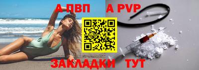 спиды Кингисепп