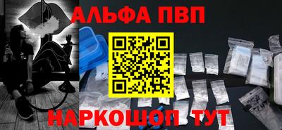 спиды Кингисепп