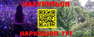спиды Кингисепп