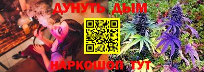 спиды Кингисепп