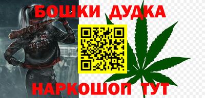 спиды Кингисепп