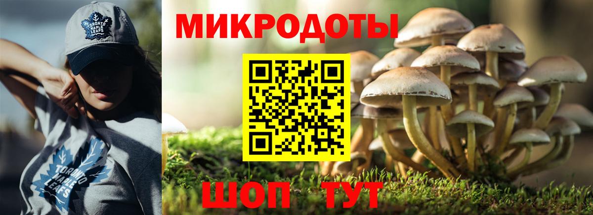 Красный Сулин  Галлюциногенные грибы ЛСД  наркотики  Вход с VPN 