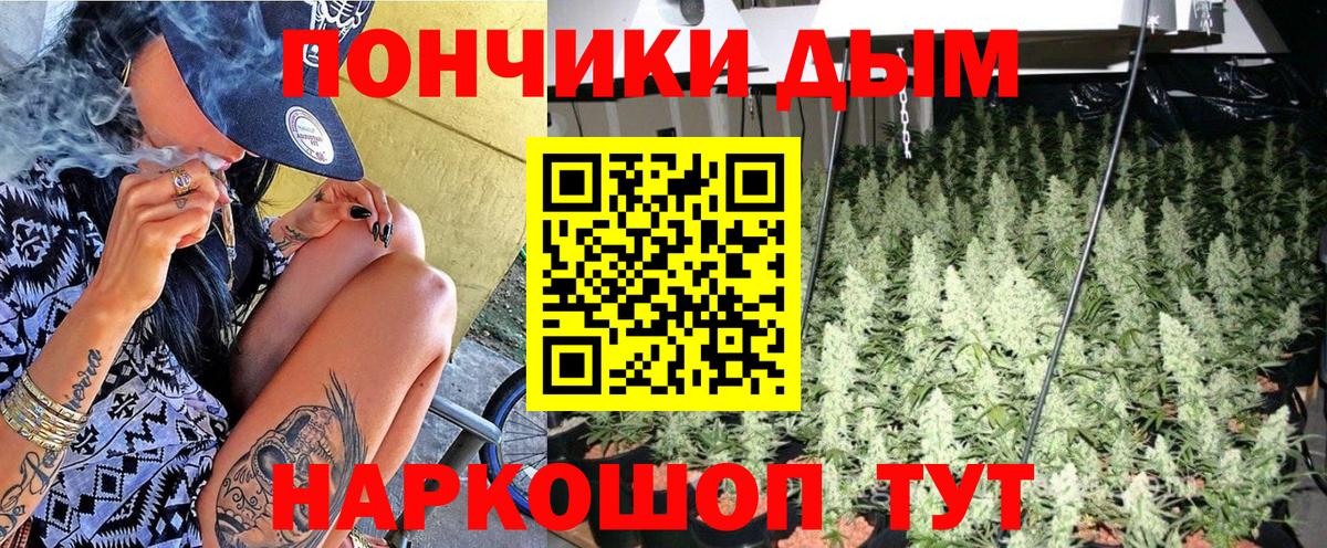 Красный Сулин  МАРИХУАНА тримм  Бошки Шишки Ganja  Конопля MAZAR  Вход с VPN 